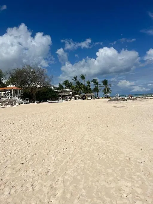 Amazing And Cozy Apt Located In Downtown Of Punta Cana Apartman